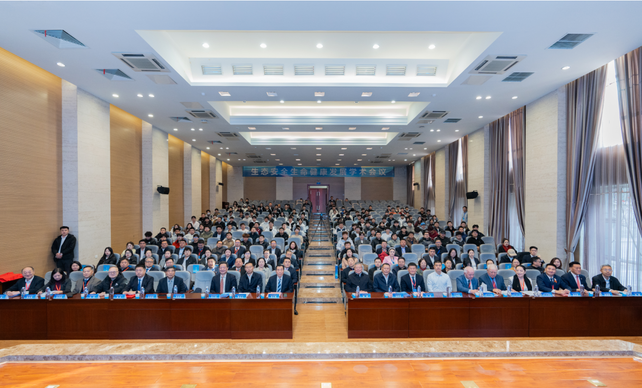 1761874444125277.png 1761874444125277.png